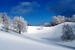 Winter dreams part 6