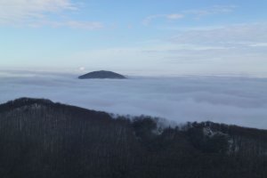 z Vysokej