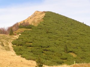 Malá Fatra