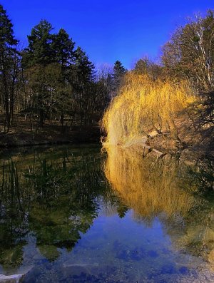 Zrkadlenie II.