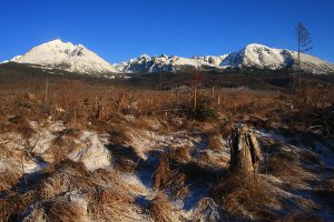 Panoráma troch