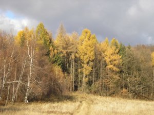 Spomienka na jeseň v Štiavnických vrchoch