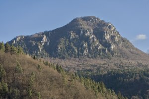 Krásavec