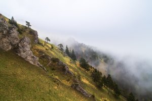 Pod Ostrou