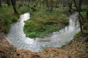 Meander Kuchynskéj Maliny