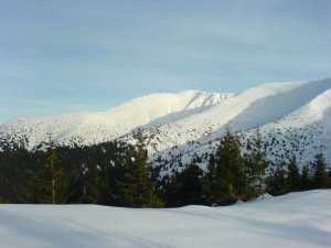 Solisko