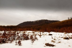 Vysoká