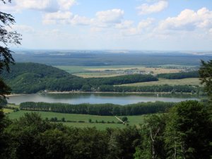 Buková