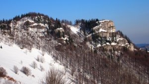 Majerova skala