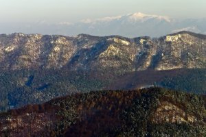 Trojvršie