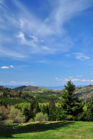 v Štiavnických vrchoch