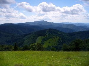 Južne od Hnilickej Kýčery