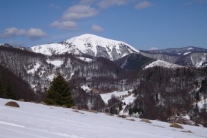 Rakytov