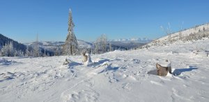 pod Zlatym stolom