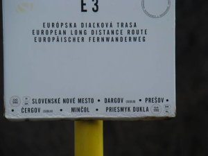 jedenasta