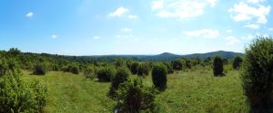 Plešivecká planina