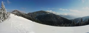 Zimna euforia :)