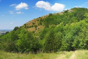 vrsok