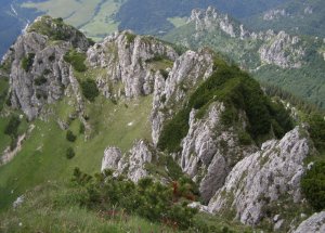 Rozsutecké scenérie