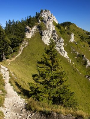 Zadná Ostrá II.
