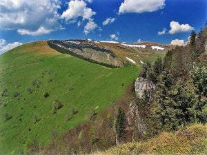 Krizna