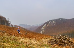 Pod Vysokou