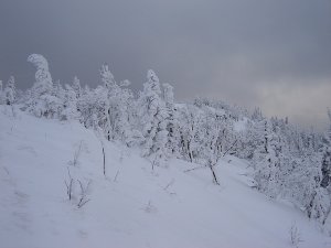 Posledné pohľady