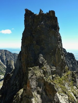 Priečna veža