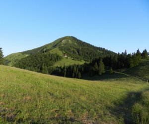 Borišovka 