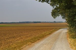 polna cesta