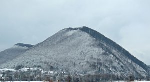 Rochovica