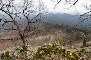 Udrina