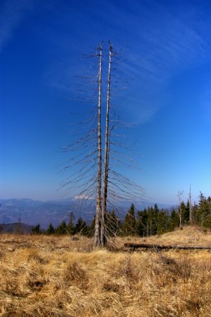 Babiná - ešte sa držia,