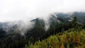 Jasná