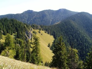 Krakova hoľa
