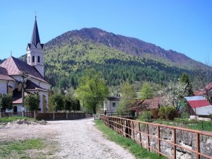 Stankovany 
